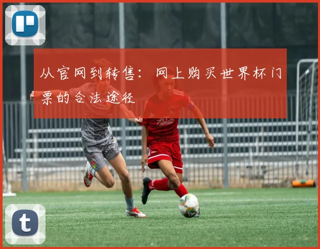 从官网到转售：网上购买世界杯门票的合法途径